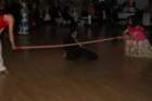 ndsaturday0714180142_small.jpg