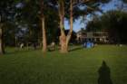 niven0702170078_small.jpg
