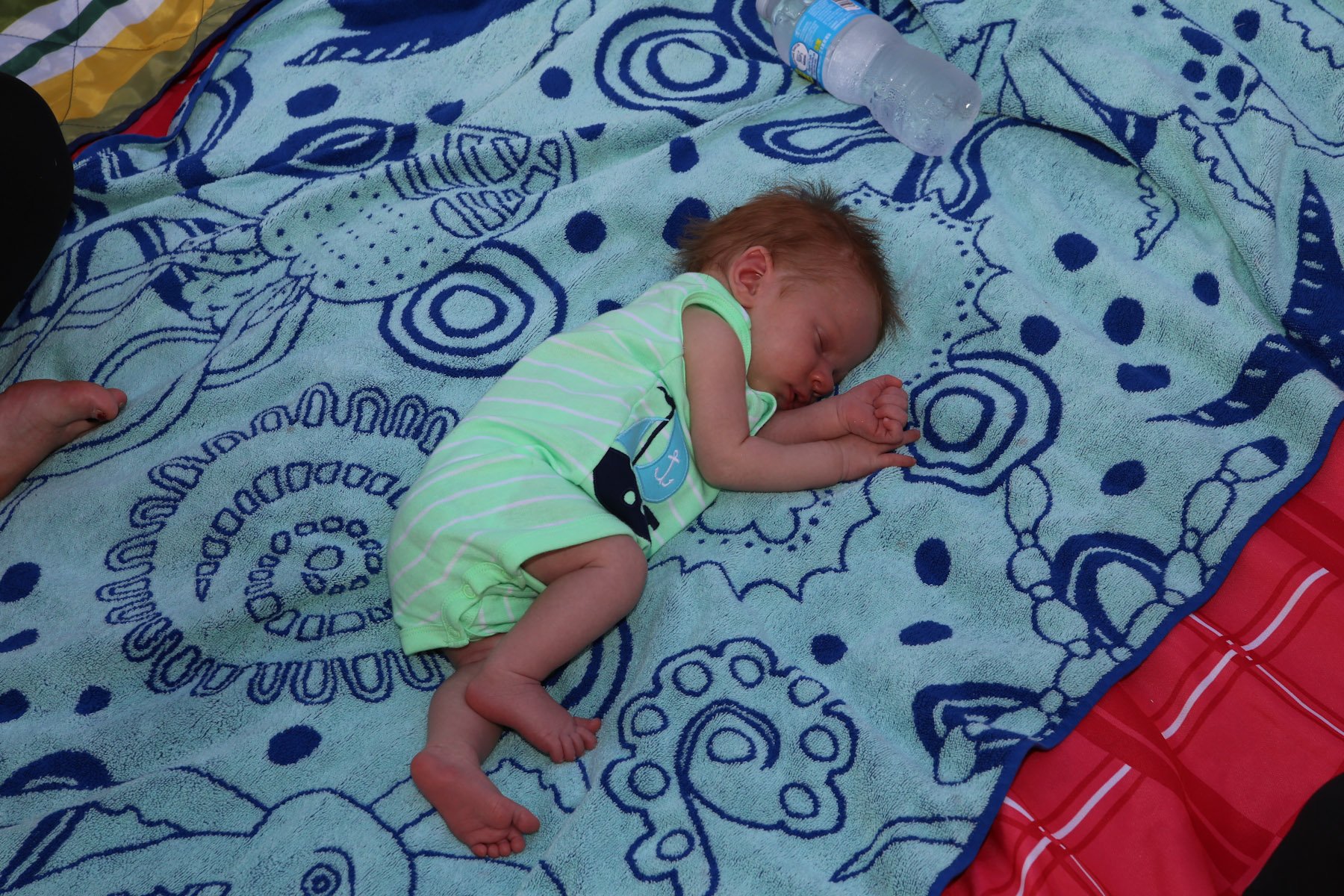 niven0702170085.jpg