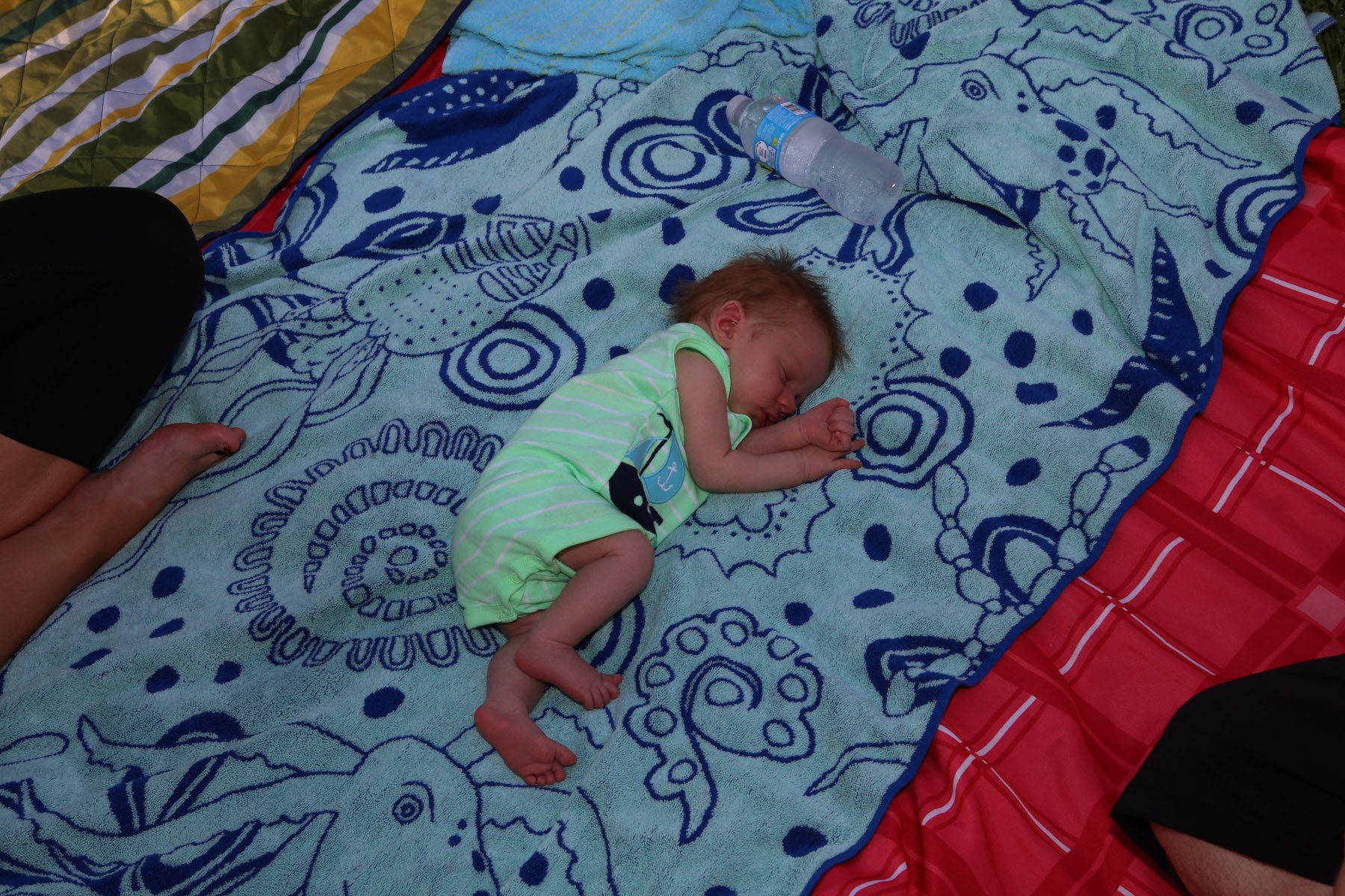 niven0702170087.jpg